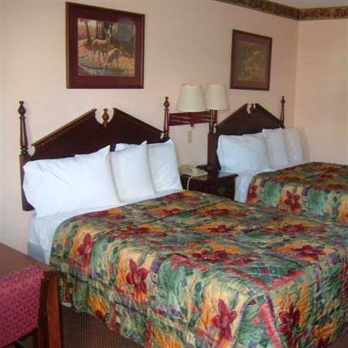Clairmont Inn & Suites - Warren Rom bilde